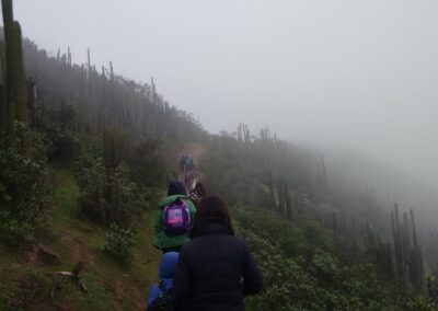 excursión al cerro